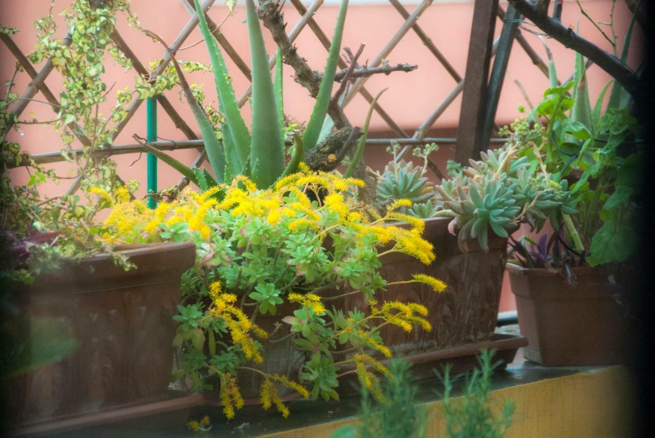 Appartamento Fiore Rom Exterior foto